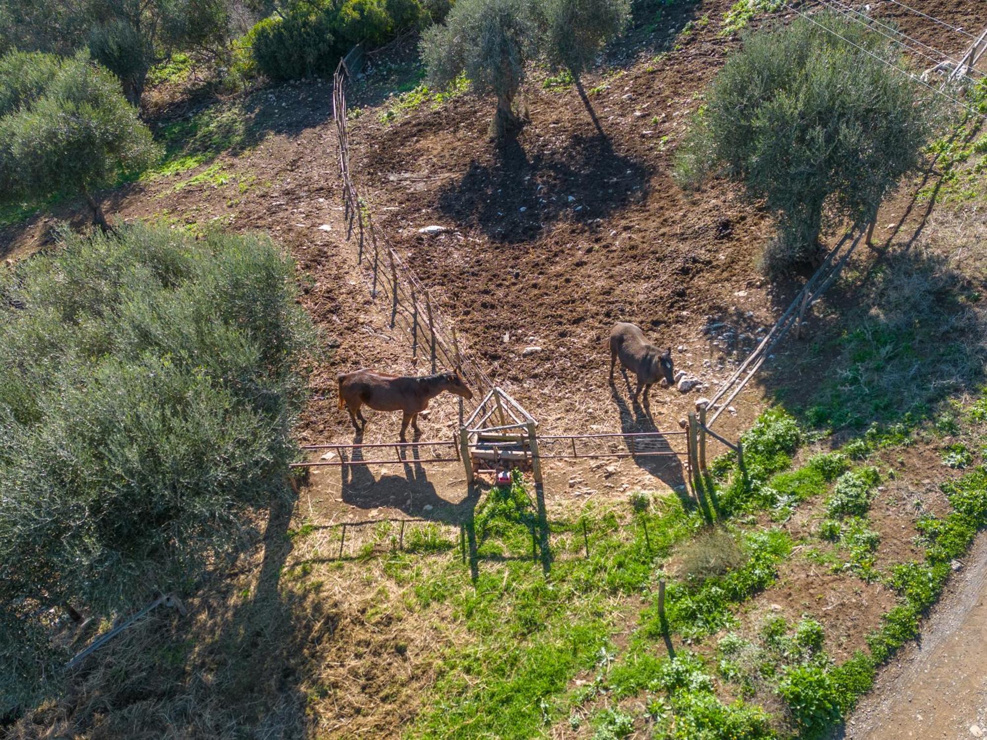 Agriturismo Buratta Fonteblanda Luaran gambar